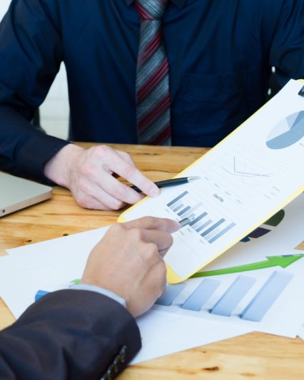 Business Audit & Consultation